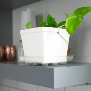 Square Saucer – Clear – 14″